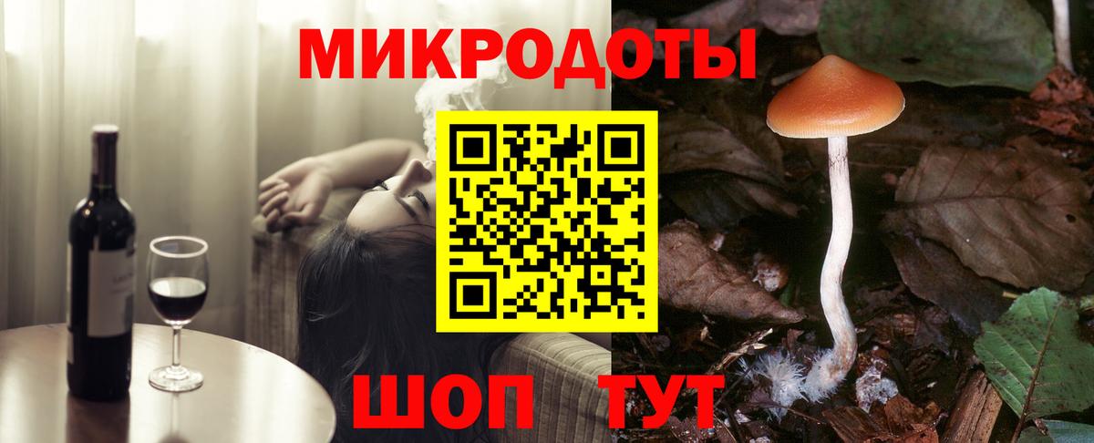 Псилоцибиновые грибы мицелий  Вход с VPN  Галлюциногенные грибы Psilocybe  Ставрополь 