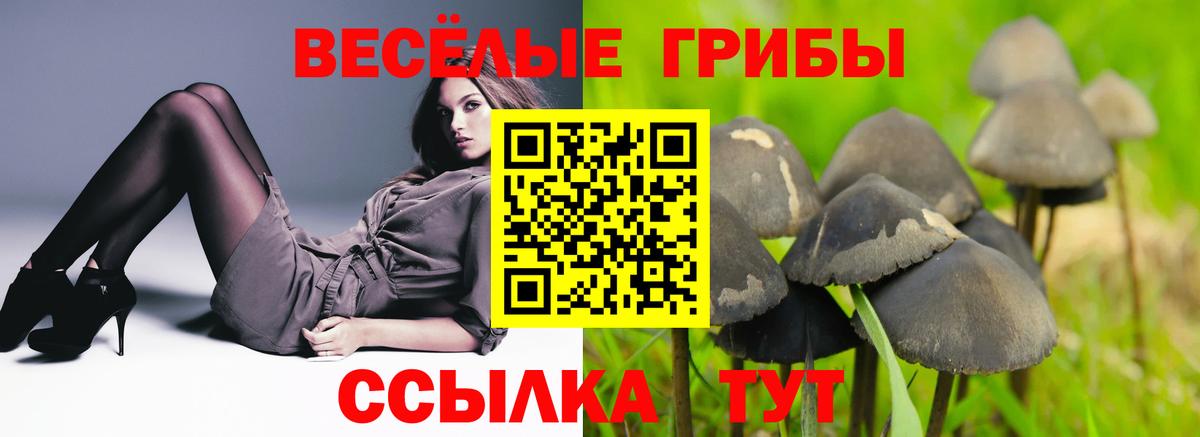 Галлюциногенные грибы Magic Shrooms Ставрополь
